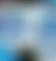 ツイッター投稿