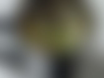 2022年11月1日(試食)