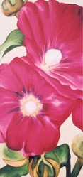 Hollyhocks