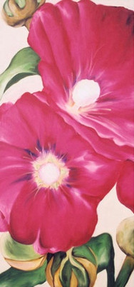 Hollyhocks