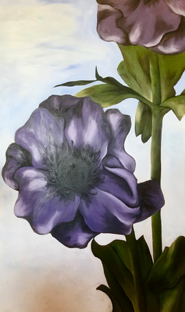 Anenome