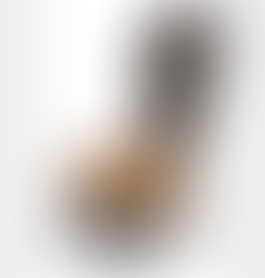 Around the World & Back Again