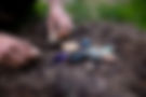 Connors_Charlotte-21.jpg