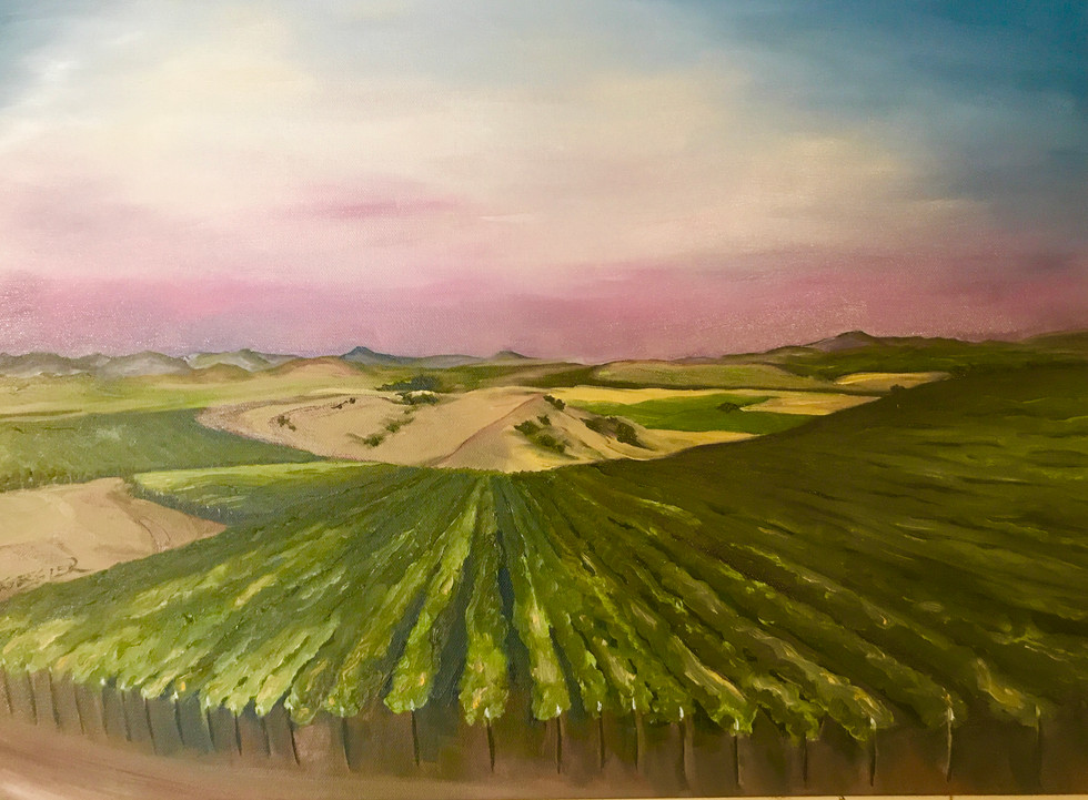 The Vineyard