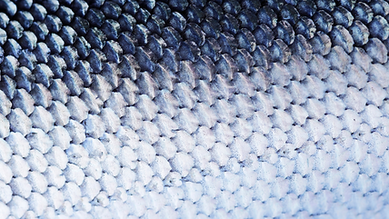 Gelb Foto Bold Typografie Modern Reise Reiseziele Reiseblog E-Mail Header (Kalender)-2.png