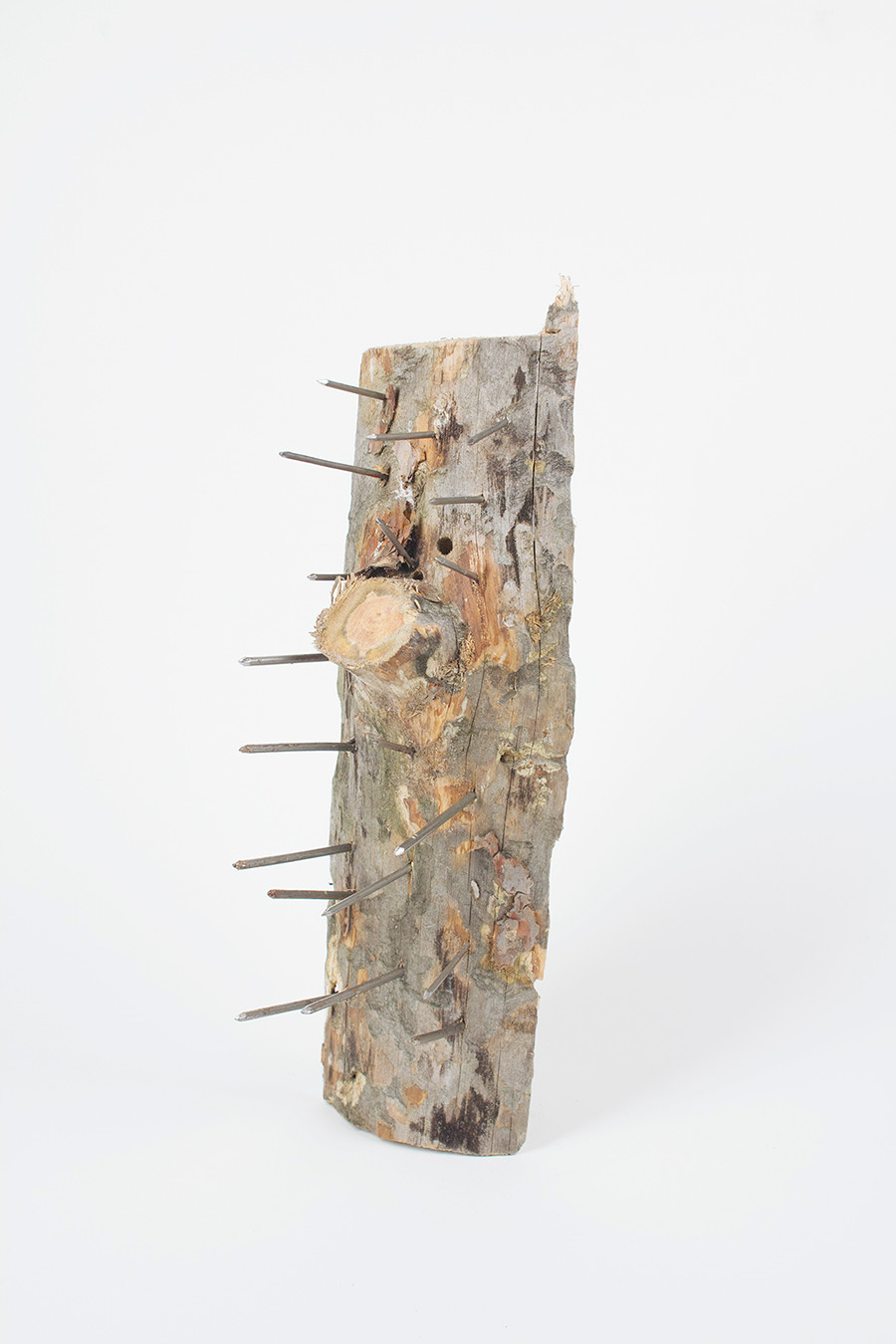 Thumbnail: Tools of Resistance