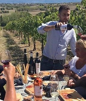 pranzo-in-vigna_edited.jpg