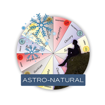 ASTRO-LOGÍA Y ASTRO-NATURA.png