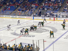 Whittemore Center - New Hampshire Wildcats