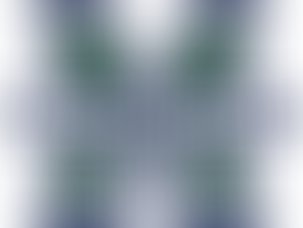 Mercyhurst Drops Men's Hockey Program