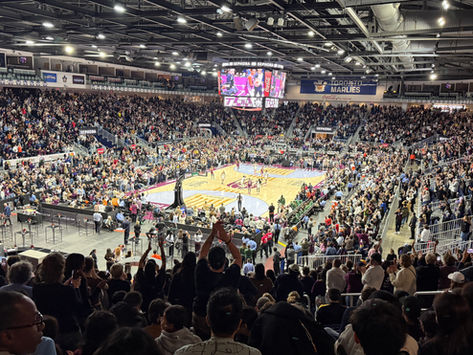 Coca-Cola Coliseum - Toronto Tempo