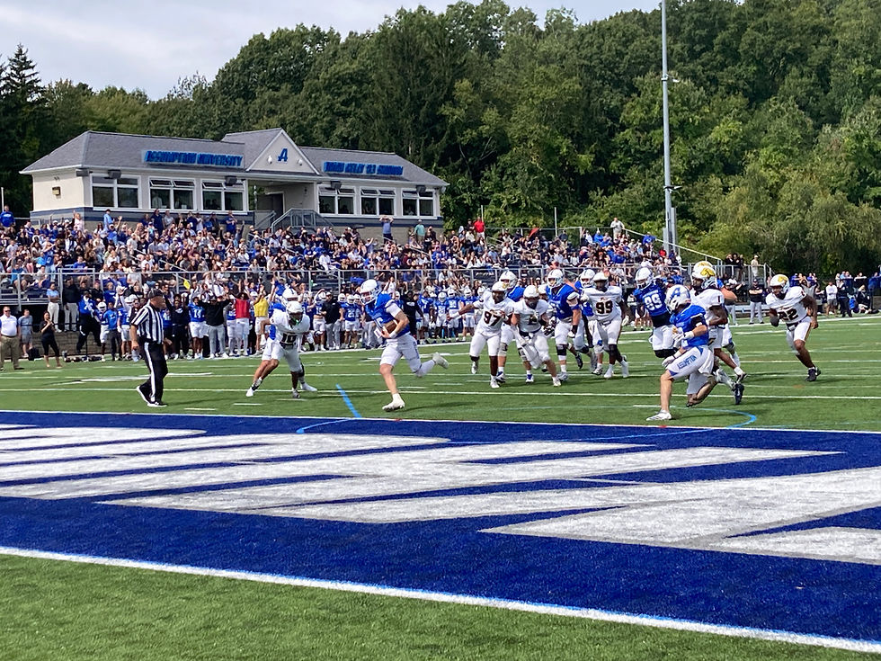 Brian Kelly '83 Stadium - Assumption Greyhounds