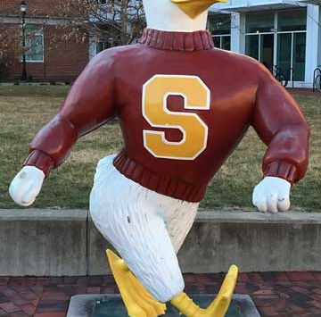 Maggs Physical Activities Center - Salisbury Sea Gulls