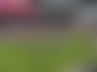Soldier Field – Chicago Fire FC