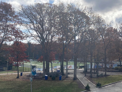 Cressy Field - UMass Dartmouth Corsairs
