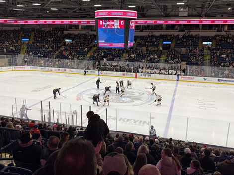 Mary Brown's Centre - Newfoundland Regiment