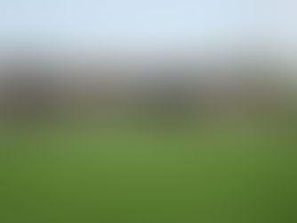 Historic Wahconah Park Grandstand to be Razed