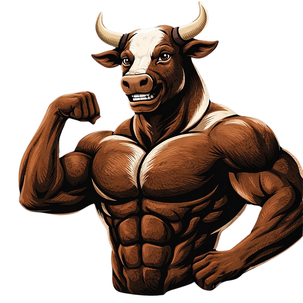 biltong entire bull.png