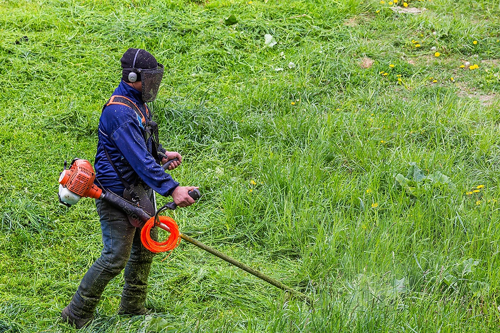 lawn maintenance company