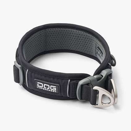 Urban Explorer Collar-Black_1.jpg