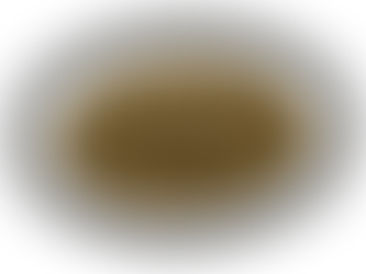 Futter im Fokus: MaxiDog Dynamic – Die natürliche Kraftquelle