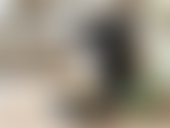 Welpen richtig füttern: Was kleine Entdecker wirklich brauchen | Rudelglück