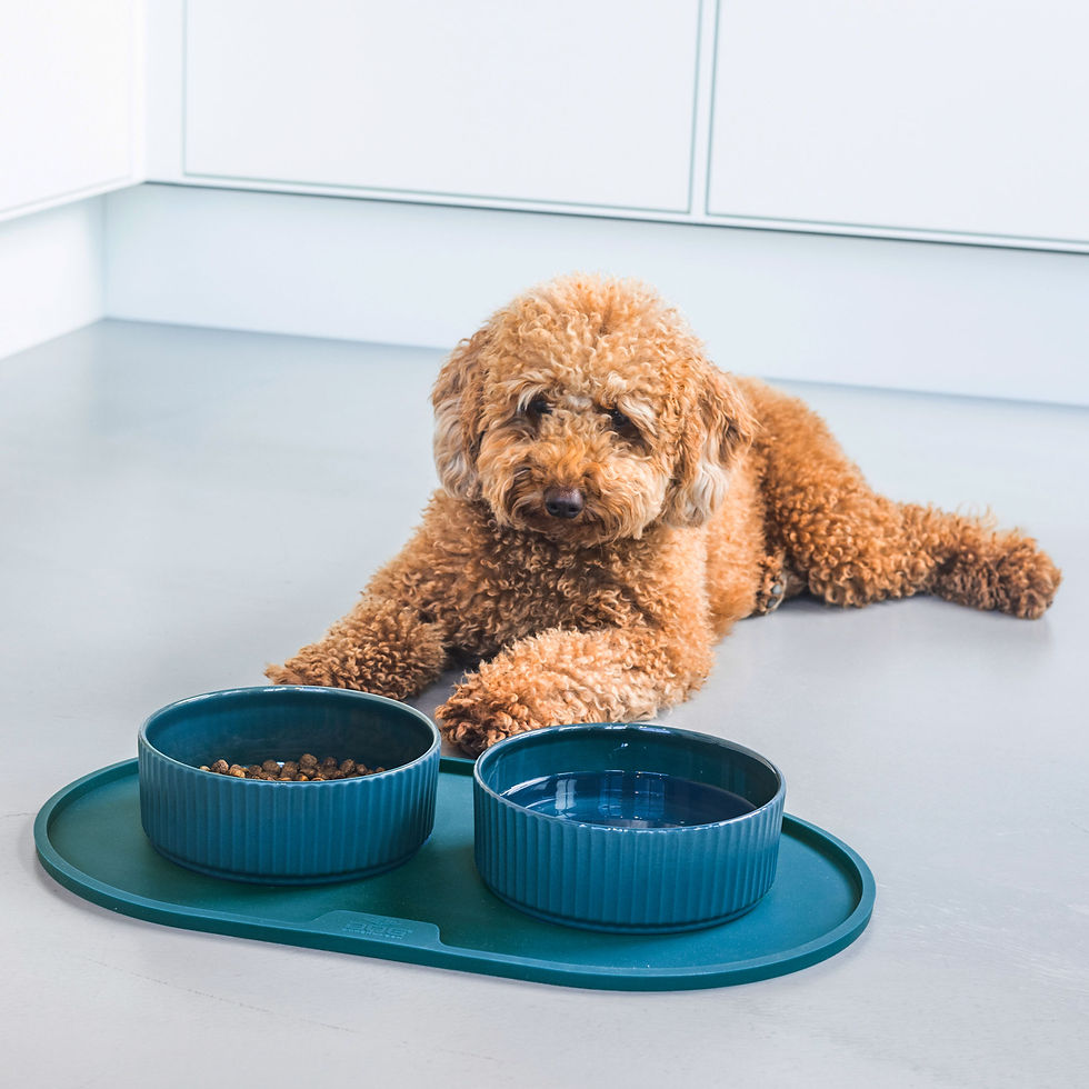 Miniaturbild: Kronborg Bowl