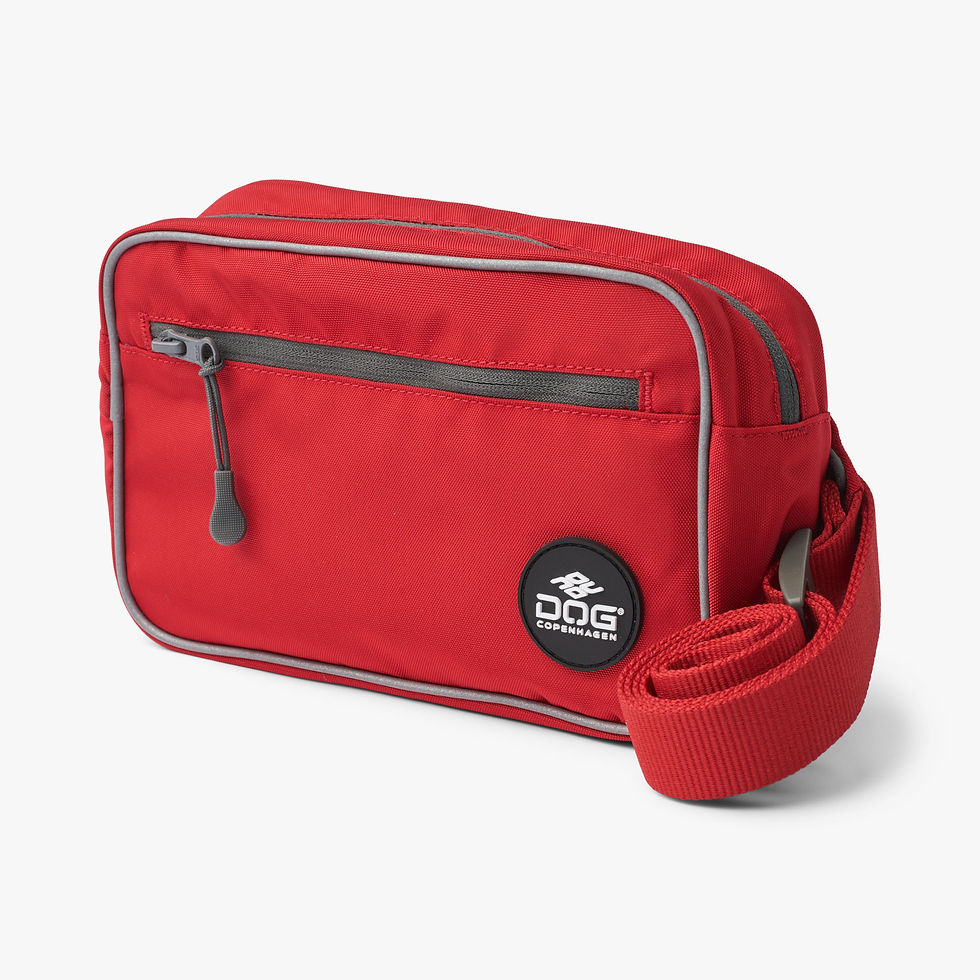 Miniaturbild: Belt Bag Go Explorer