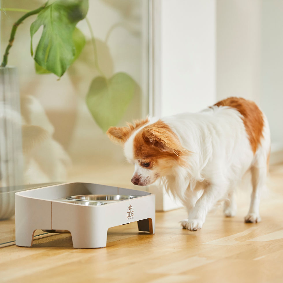 Miniaturbild: Skagen Food Bar