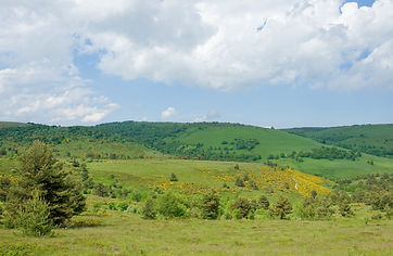 Col des SUPEYRES - Luc OLIVIER (1).jpg