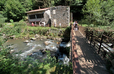 Vallee des Rouets - ville de thiers.jpg