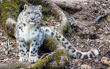 parc animalier.jpeg