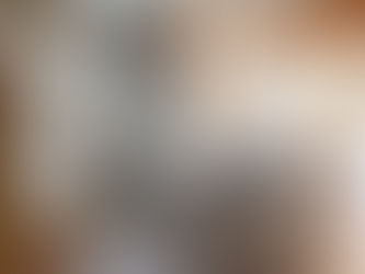 舞鶴で快適に暮らすLDK|無垢桧フローリングと漆喰仕上げの新築住宅