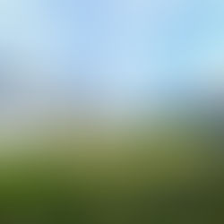 【速報】西舞鶴の優良分譲地・新着情報を公開!専用ページがOPENしました!