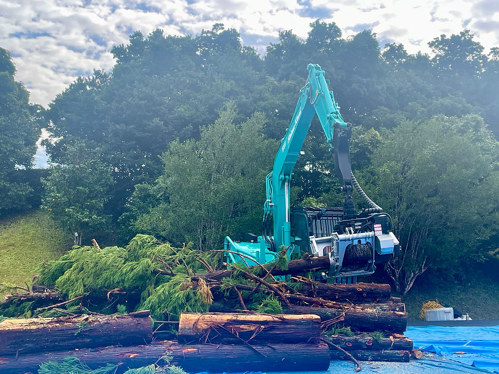 林業機械の迫力ある作業