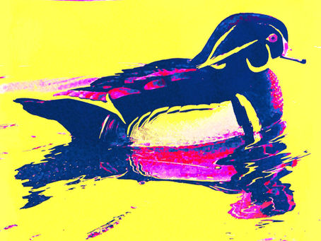 5 Lessons from the Collector and Artist PapaBearded:  "Share your story through your art."