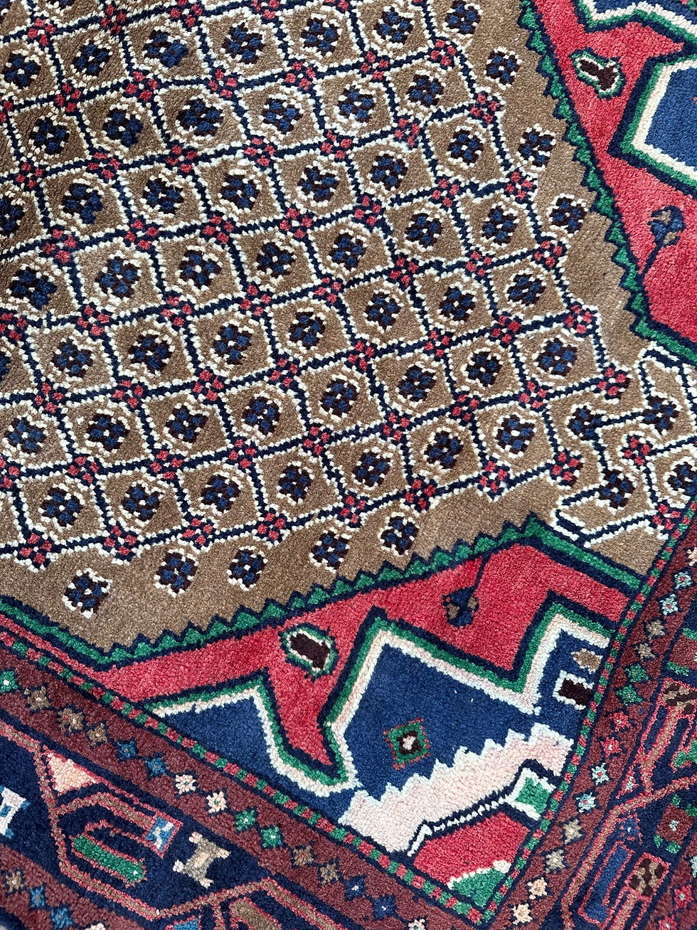 Thumbnail: Persian Koliai Runner