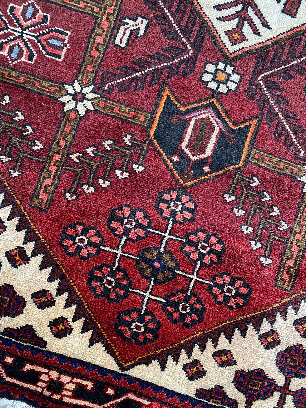Thumbnail: Persian Koliai Runner