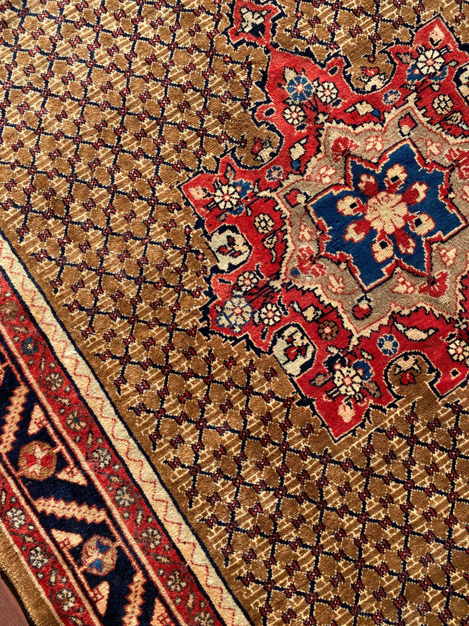 Persian Koliai Runner/Area Rug