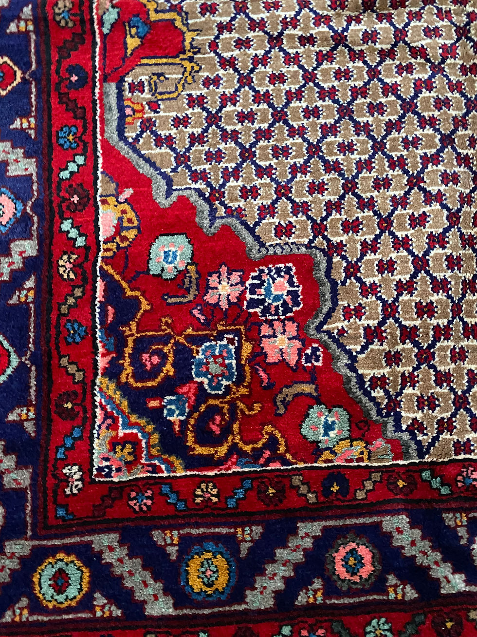 Thumbnail: Persian Koliai Runner