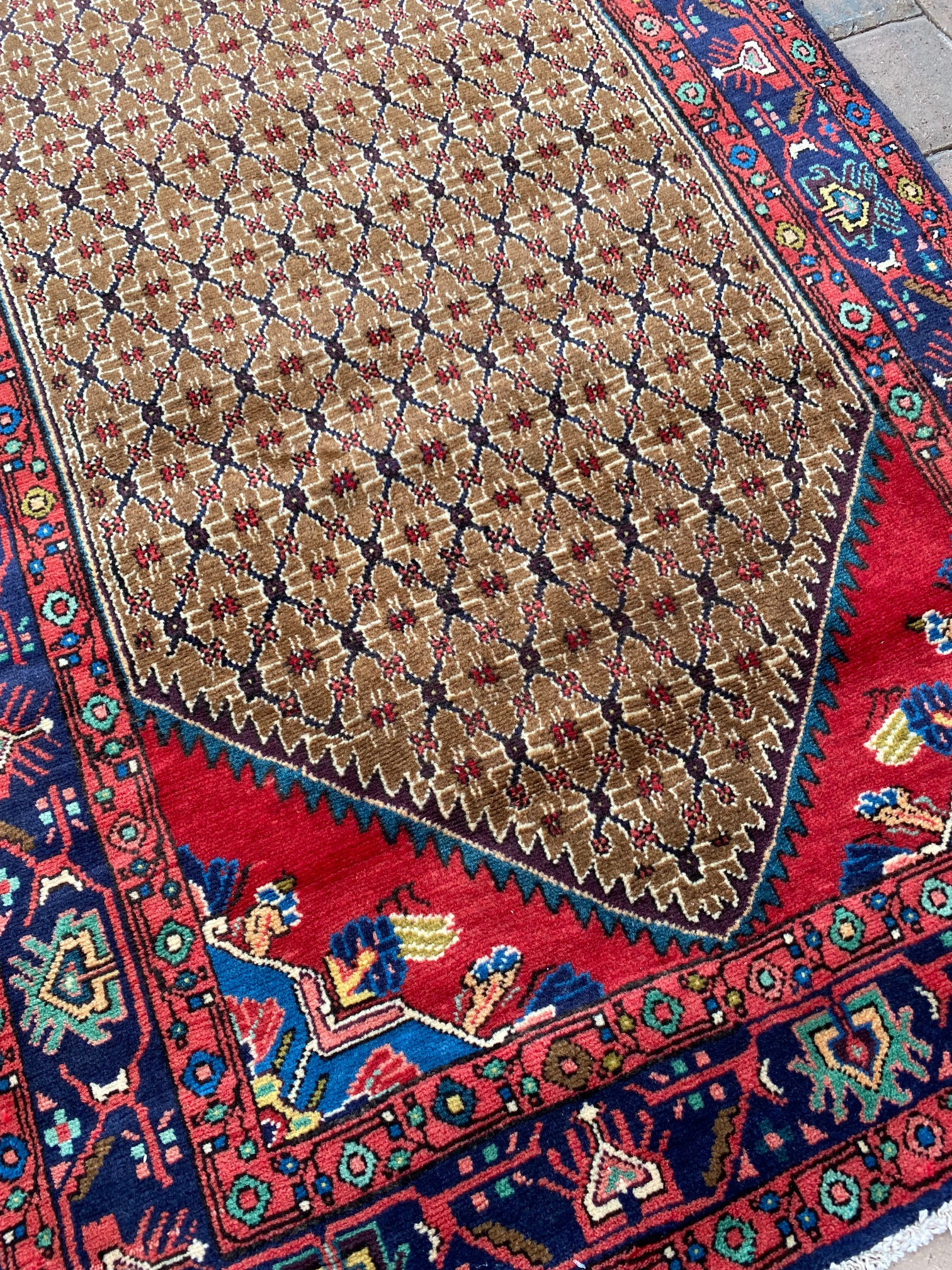 Persian Koliai Runner