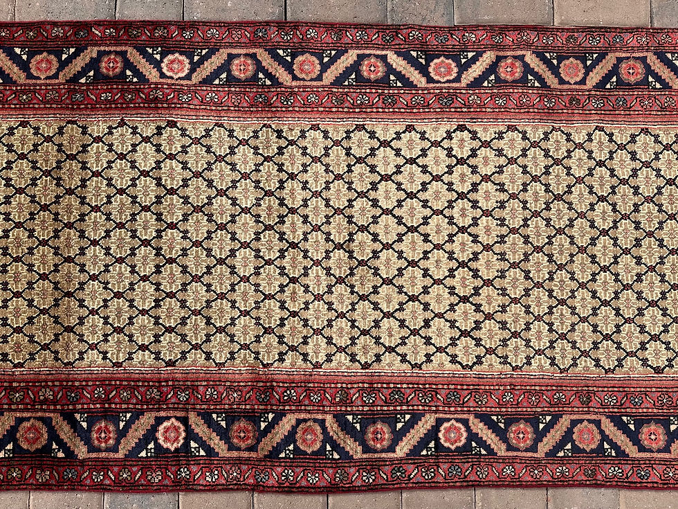 Thumbnail: Persian Koliai Runner