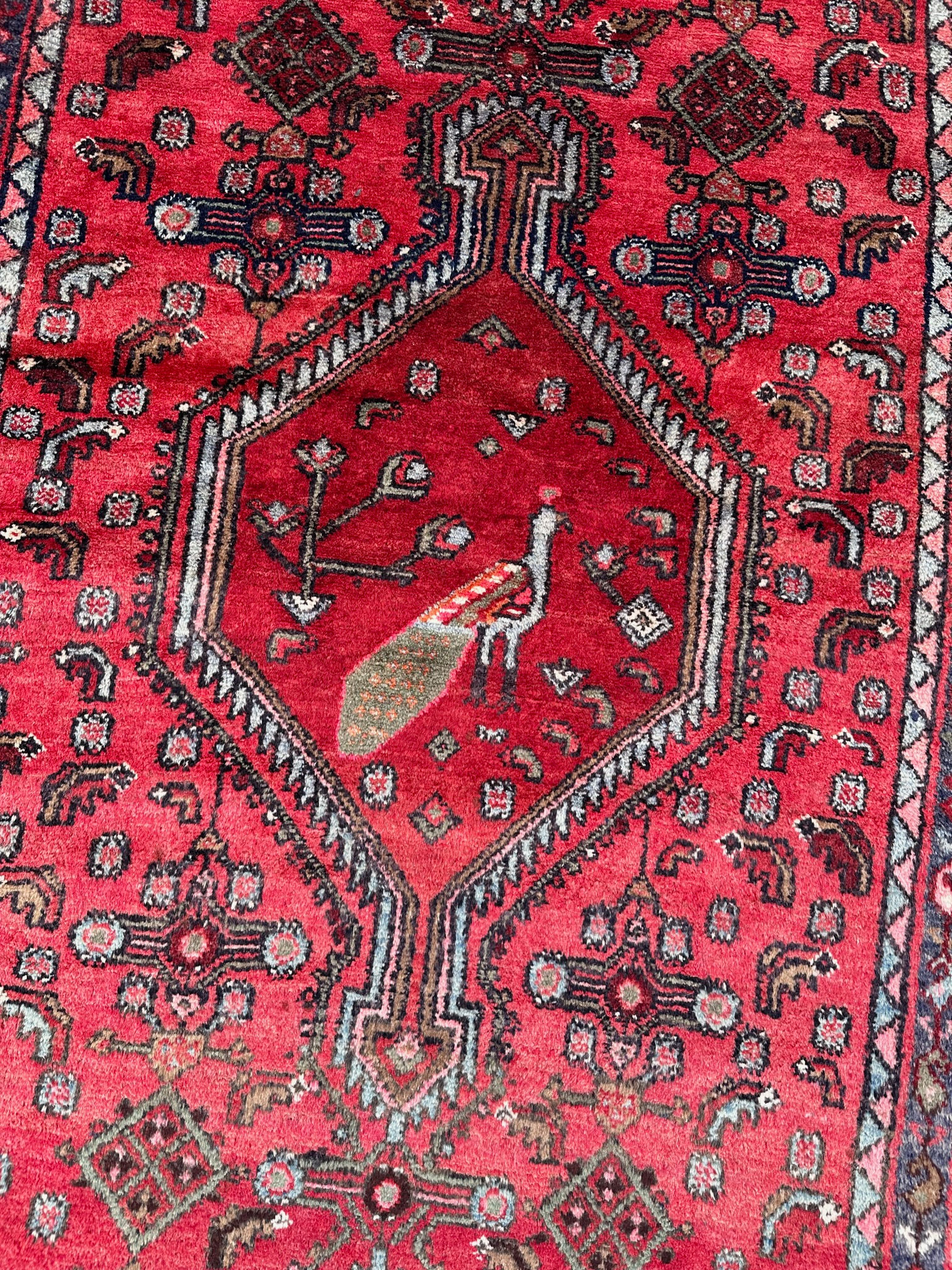 Persian Koliai Runner