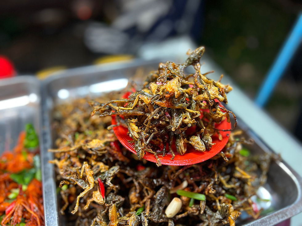 Frittierte Kakerlaken als Streetfood in Phnom Penh – Einblick in Kambodschas Esskultur