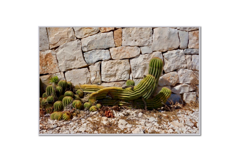 Miniaturbild: Reisefotokunst, Lumas, Lumas Galerie,