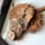 Talking Point Collection-Peak District Highland Cow- Layered Paper Art