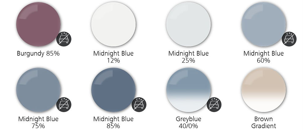 Custom Tints 5