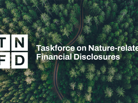TNFD logo and forest background