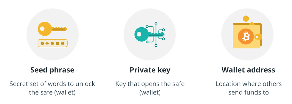 seed phrase, private key and wallet address