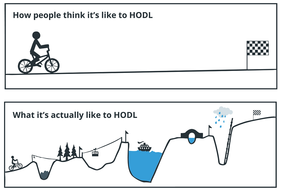 how hodling looks like